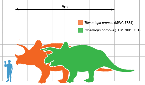 Triceratops_scale